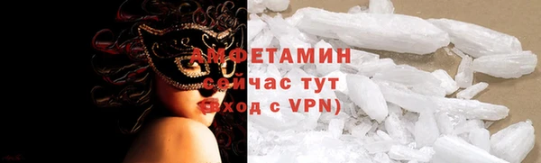 индика Пенза