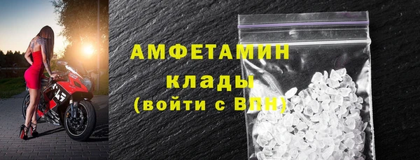 индика Пенза