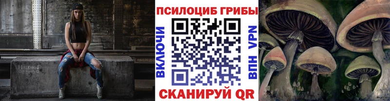 как найти наркотики  Сысерть  Псилоцибиновые грибы Cubensis 